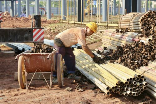 遂寧高新區西部鐵路物流園 錯時施工巧避高溫，安全進度雙贏并舉